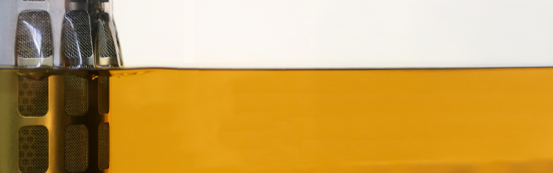 1920x600px_mmagine-Form-Atterraggio--2